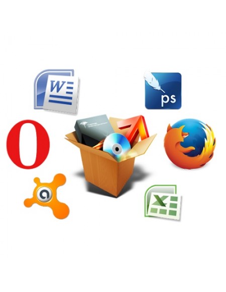 Servicii de instalare software.