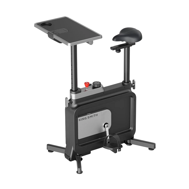 Kingsmith Exercise Spinning Bike W1B Black