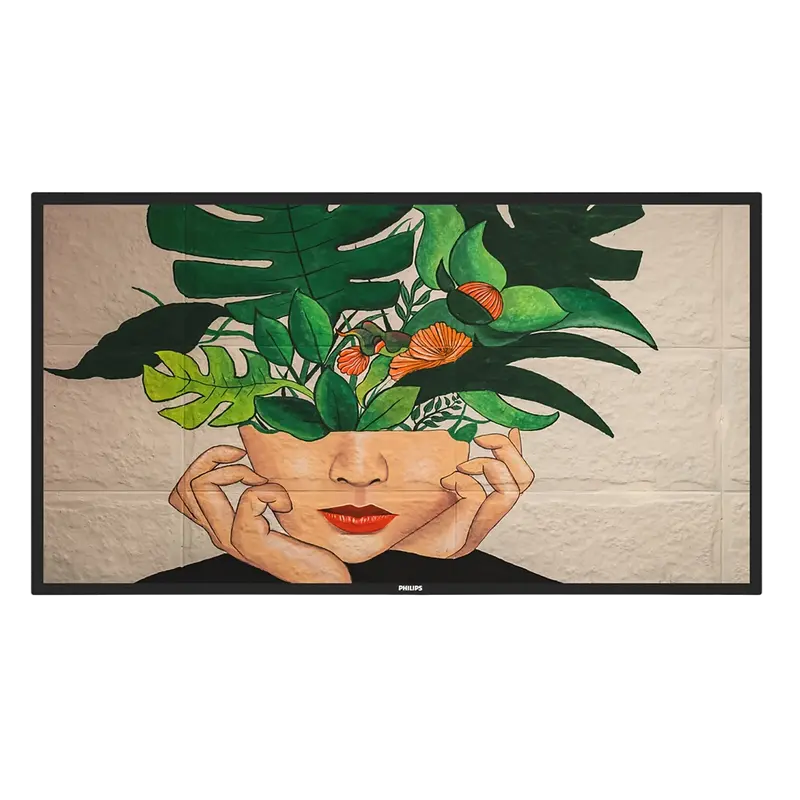 55" Display PHILIPS "55BDL4650D" Black
