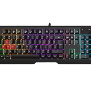 Gaming Keyboard Bloody B135N, Multimedia Hot-Keys, Game Mode, Macro, 4 Gaming Keycaps, Spill-resistant, Neon Backlight, 1.8m, USB, EN/RU, Black