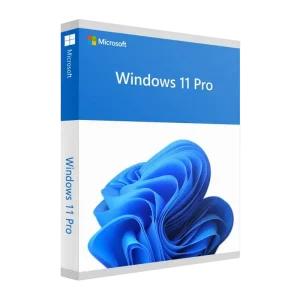 Windows 11 Pro 64Bit Eng Intl 1pk DSP OEI DVD