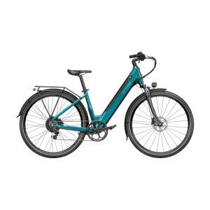 Electric bicycle FIIDO C11 BLUE