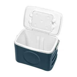 Cooler Bag Ardesto CB-25B